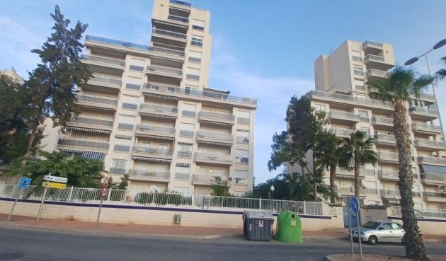 Resale - Apartment -
Guardamar del Segura - Costa Blanca