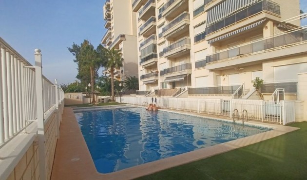 Resale - Apartment -
Guardamar del Segura - Costa Blanca