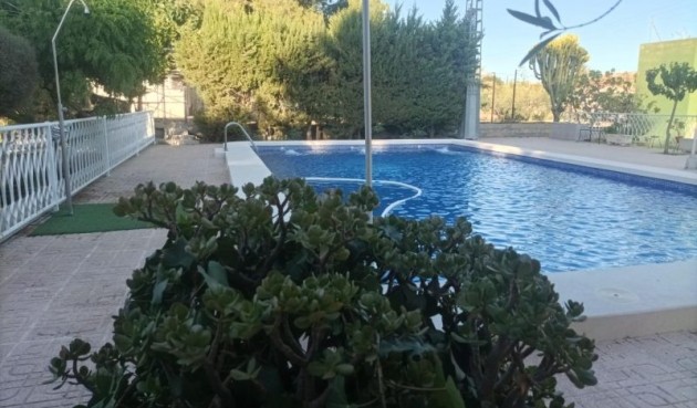 Resale - Villa -
Elche - Costa Blanca