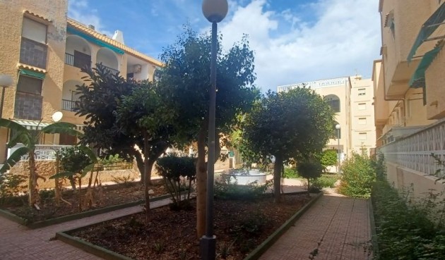 Resale - Bungalow -
Torrevieja - Costa Blanca