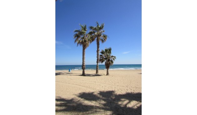 Resale - Apartment -
La Mata - Costa Blanca