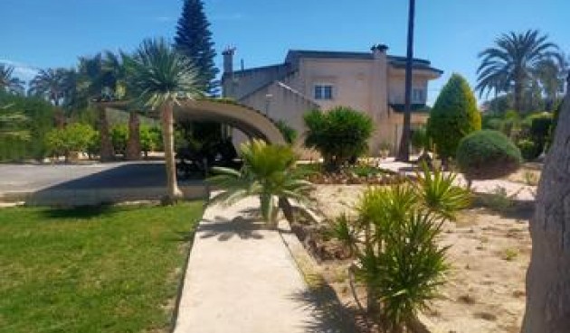 Resale - Villa -
Elche - Costa Blanca