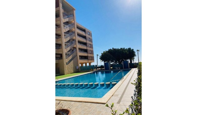 Resale - Apartment -
Torrevieja - Costa Blanca