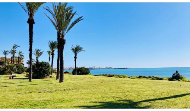 Resale - Apartment -
Torrevieja - Costa Blanca