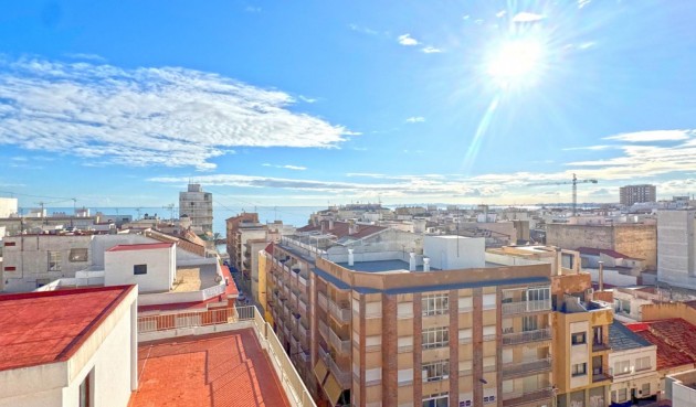 Resale - Apartment -
Torrevieja - Costa Blanca