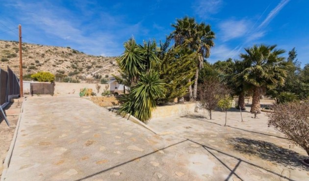 Resale - Villa -
Elche - Costa Blanca