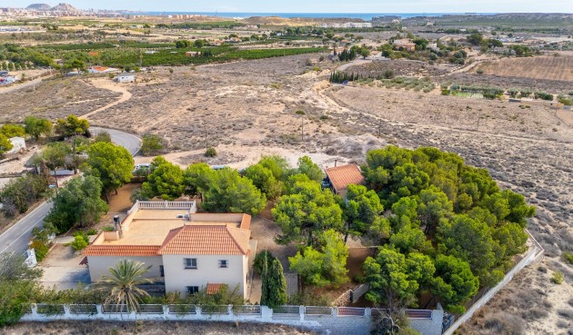 Resale - Villa -
Alicante - Ciudad De Asís - Font-calent - El Bacarot