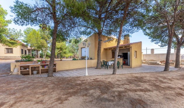 Resale - Villa -
Alicante - Ciudad De Asís - Font-calent - El Bacarot