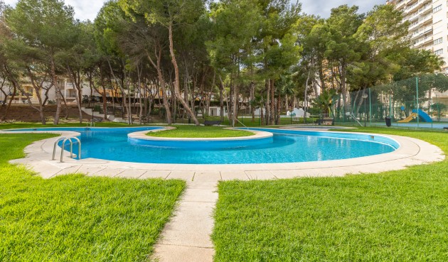 Resale - Apartment -
Orihuela Costa - Costa Blanca