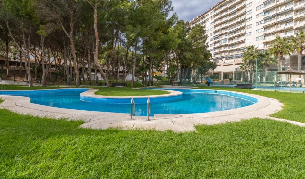 Resale - Apartment -
Orihuela Costa - Costa Blanca