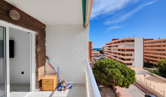 Återförsäljning - Apartment -
Orihuela Costa - Costa Blanca