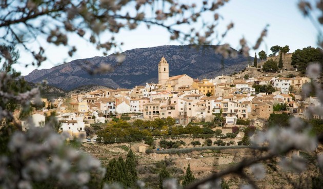 Nybygg - Villa -
Polop - Polop Hills