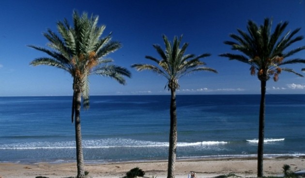 Obra nueva - Bungalow -
Pilar de la Horadada - Parque Ramon eugenio Escudero