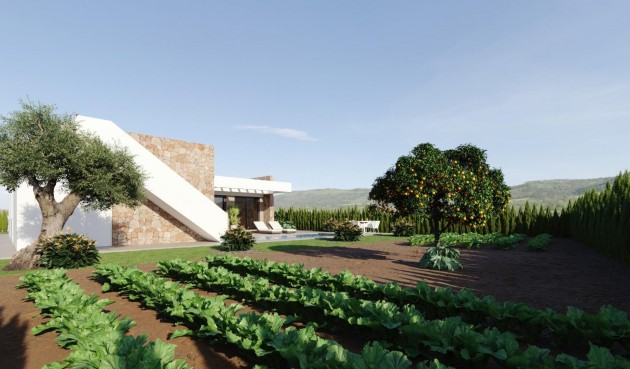 New Build - Villa -
Fuente Álamo - Hacienda del Alamo