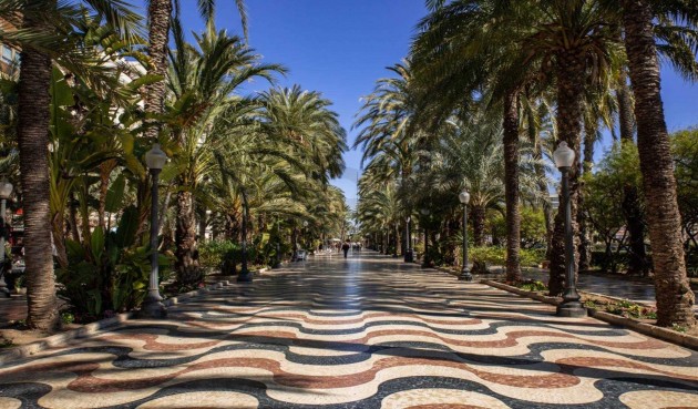 Nybygg - Apartment -
Alicante - Centro