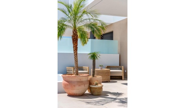 Nybyggnation - Town House -
Dolores - Sector 3