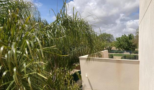 Resale - Semi Detached -
Pilar de la Horadada - Costa Blanca