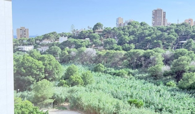 Resale - Apartment -
Orihuela Costa - Campoamor