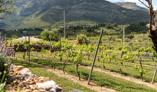 Resale - Villa -
Murla - Inland