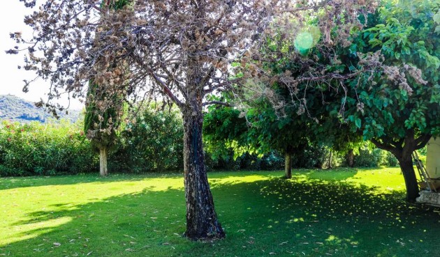 Brukt - Villa -
Jesus Pobre - Inland