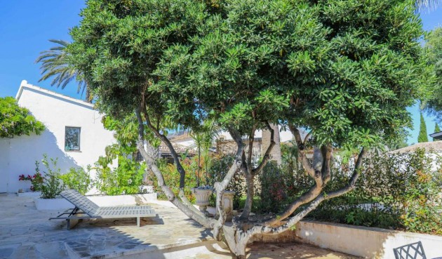 Brukt - Villa -
Jesus Pobre - Inland