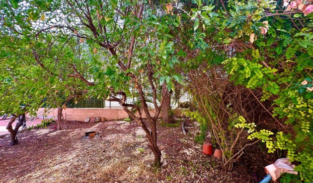 Resale - Villa -
Torrevieja - Los Balcones - Los Altos del Edén