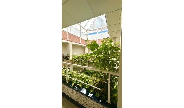 Reventa - Ático -
Torrevieja - Centro