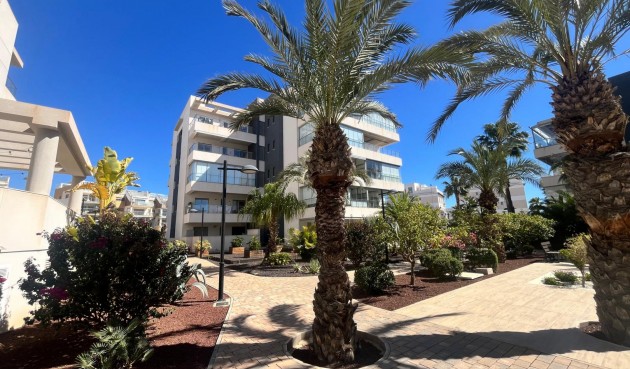 Återförsäljning - Apartment -
Los Dolses - Inland