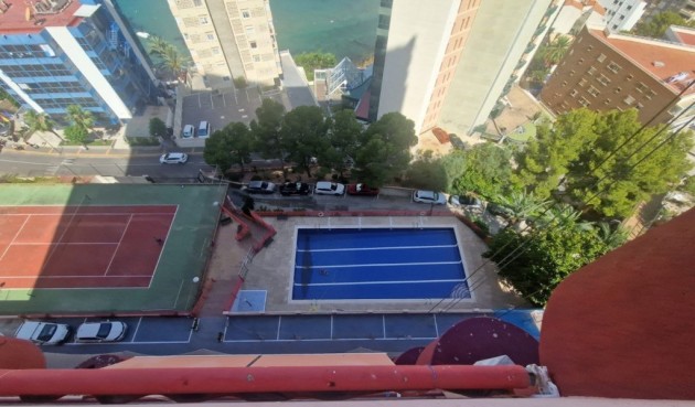 Resale - Apartment -
Benidorm - Costa Blanca