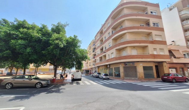 Återförsäljning - Apartment -
Torrevieja - Playa del Cura
