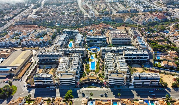 Resale - Apartment -
Playa Flamenca - Costa Blanca