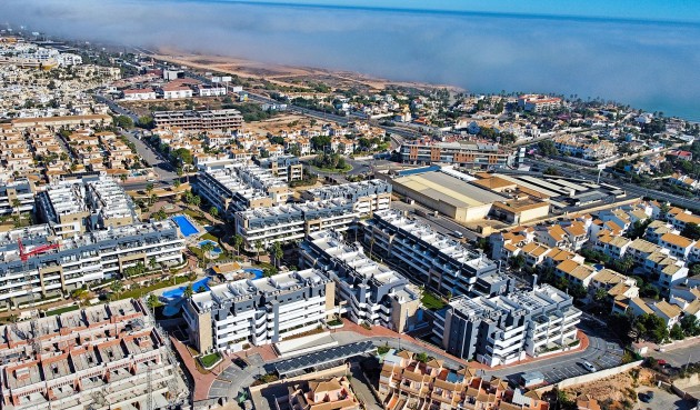 Resale - Apartment -
Playa Flamenca - Costa Blanca