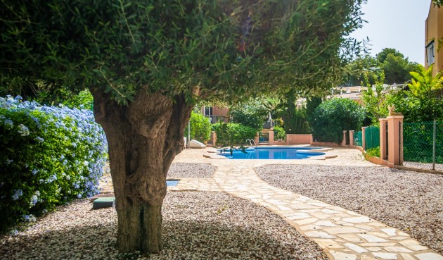 Brukt - Villa -
Torrevieja - Costa Blanca