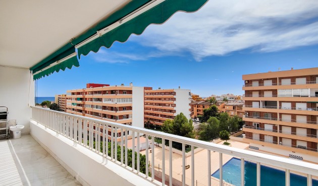 Resale - Apartment -
Torrevieja - Costa Blanca