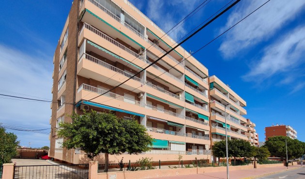 Resale - Apartment -
Torrevieja - Costa Blanca