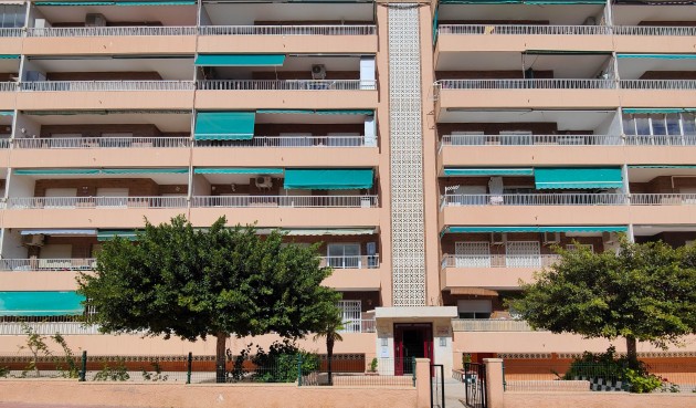 Resale - Apartment -
Torrevieja - Costa Blanca