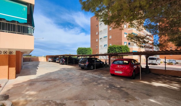 Resale - Apartment -
Torrevieja - Costa Blanca