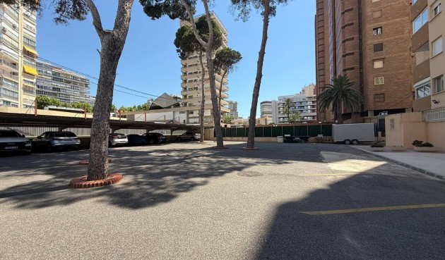Reventa - Apartment -
Benidorm - Costa Blanca