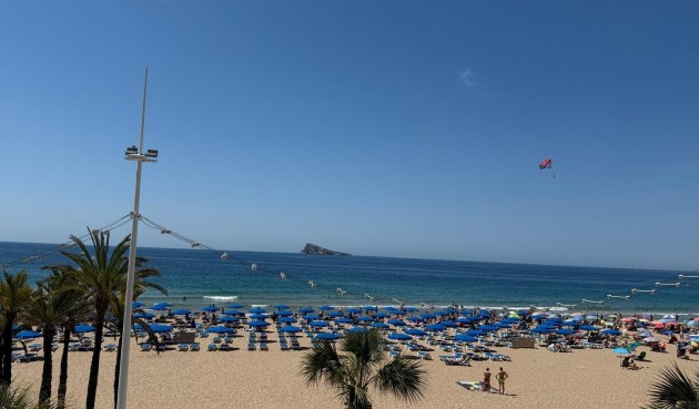 Reventa - Apartment -
Benidorm - Costa Blanca