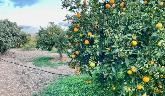 Återförsäljning - Villa -
Benidorm - Salto Del Agua
