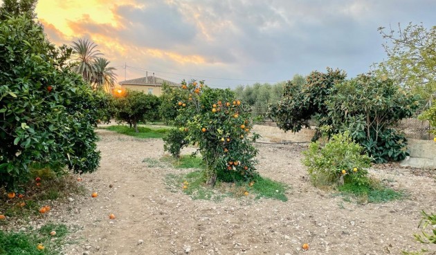 Återförsäljning - Villa -
Benidorm - Salto Del Agua