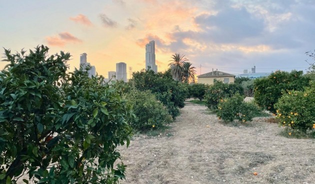 Återförsäljning - Villa -
Benidorm - Salto Del Agua