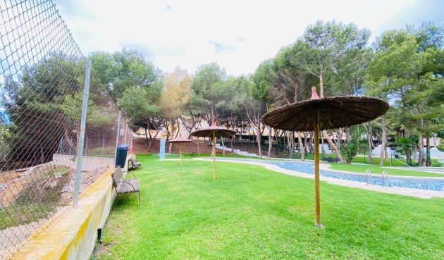 Återförsäljning - Apartment -
Orihuela Costa - Altos De Campoamor