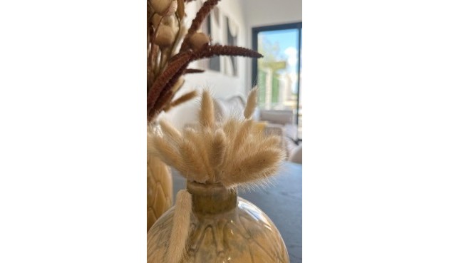 Nybygg - Bungalow -
San Fulgencio - Pueblo