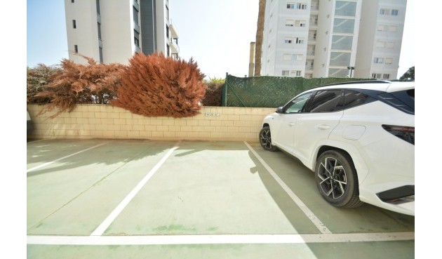 Resale - Apartment -
Guardamar del Segura - Costa Blanca