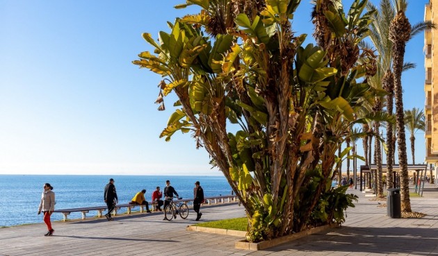 Reventa - Apartment -
Torrevieja - Costa Blanca