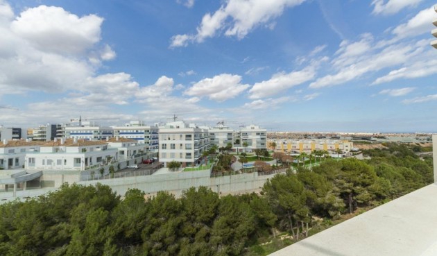 Resale - Penthouse -
Los Dolses - Inland