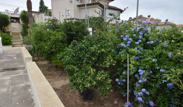 Resale - Villa -
Algorfa - Inland