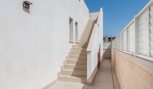 Obra nueva - Villa -
Vera - Vera Playa