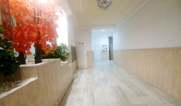 Brukt - Toppleilighet -
Torrevieja - Costa Blanca